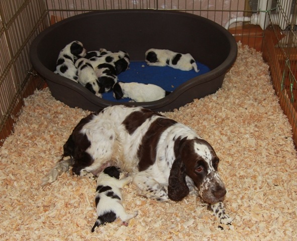 194947-f91d4-80860229-m750x740-uc5d36.jp